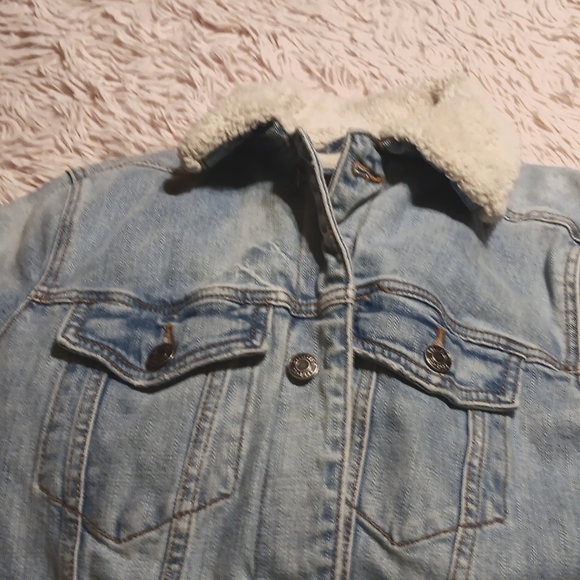 Hollister Jacket - Picture 2 of 3